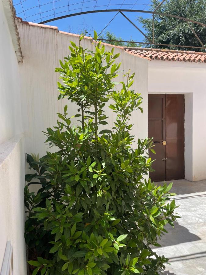 La Casita De San Nicolas Granada Exteriér fotografie